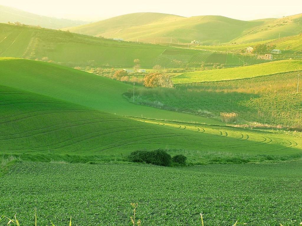 Agriturismo Ridocco Корлеоне Экстерьер фото